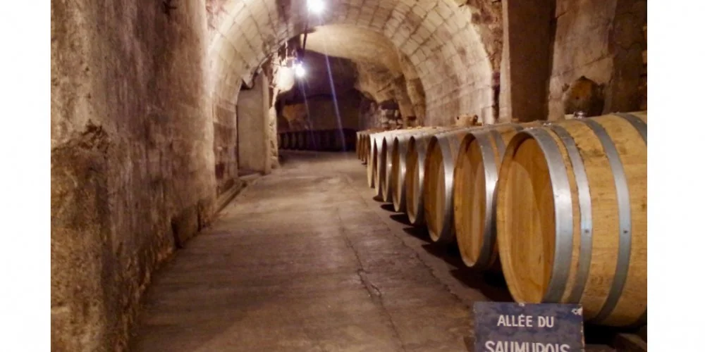 Château de Villeneuve