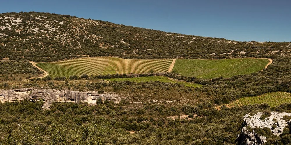 Domaine d’Aupilhac