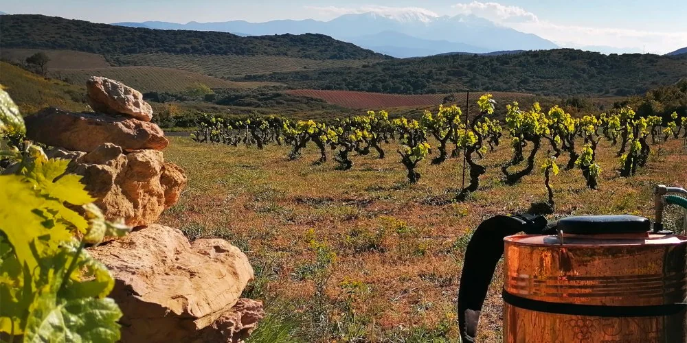 Domaine de l'Horizon