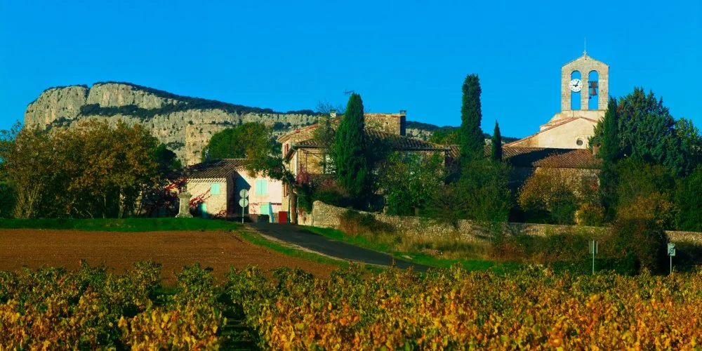 Domaine de l’Hortus