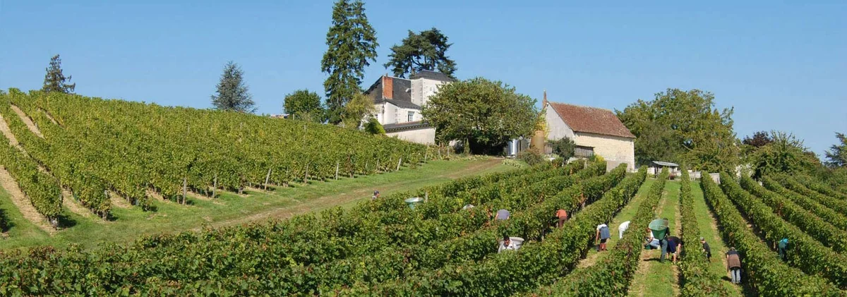 Domaine de la Noblaie