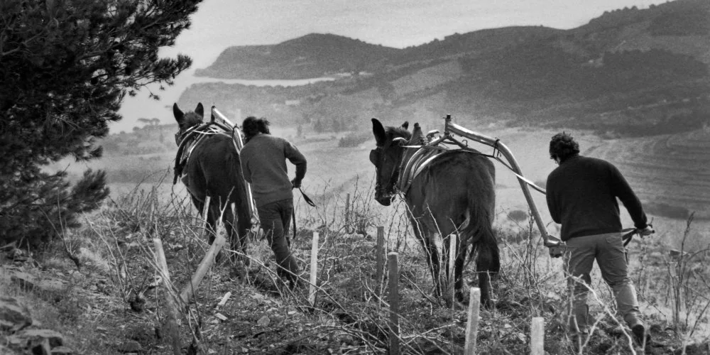 Domaine de La Rectorie