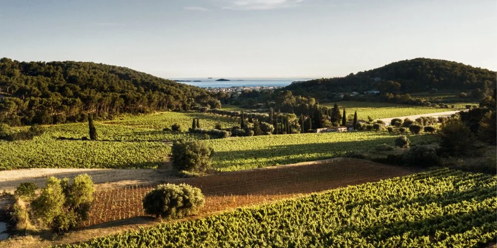 Domaine de Terrebrune