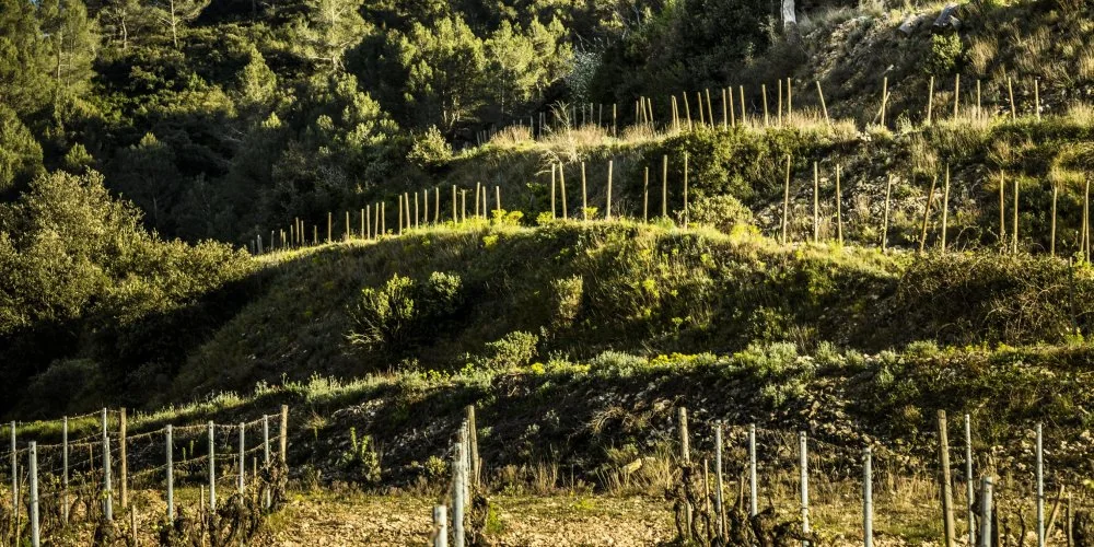 Domaine de Trévallon