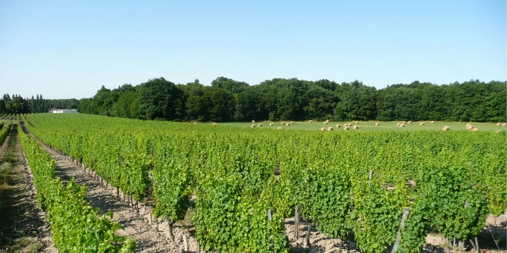 Domaine des Huards