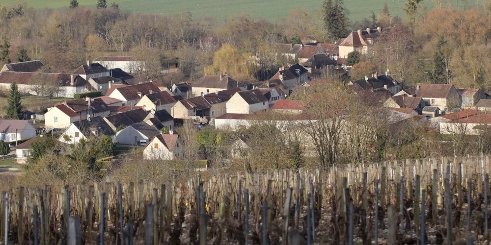 Domaine Isabelle et Denis Pommier