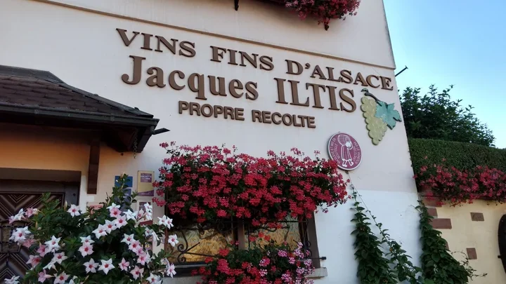 Domaine Jacques Iltis et Fils