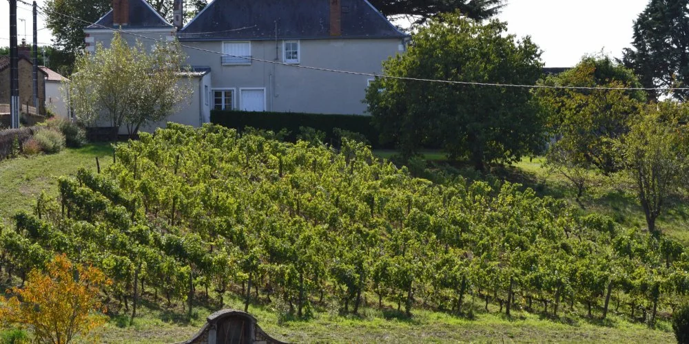 Domaine Nicolas Reau