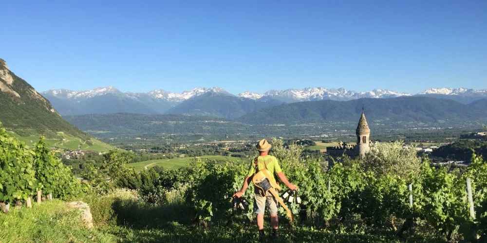 Domaine Pascal et Annick Quenard