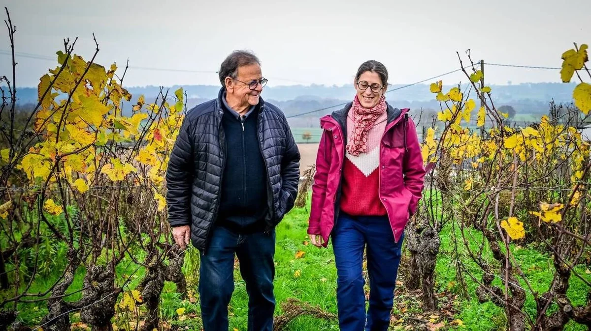 Domaine Xavier Fresneau