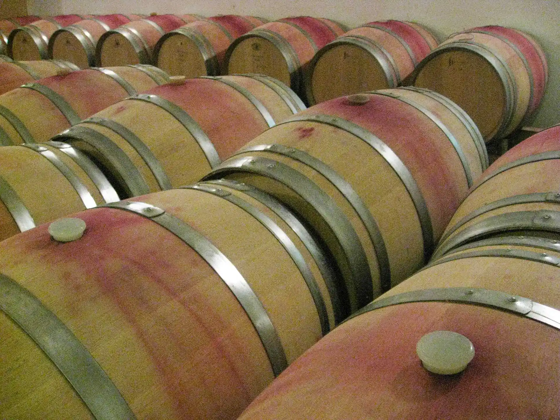 Barriques de chêne dans un chai