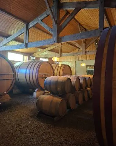 Foudre centenaire dans une cave alsacienne