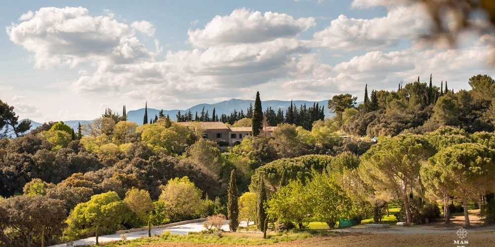 Mas de Daumas Gassac