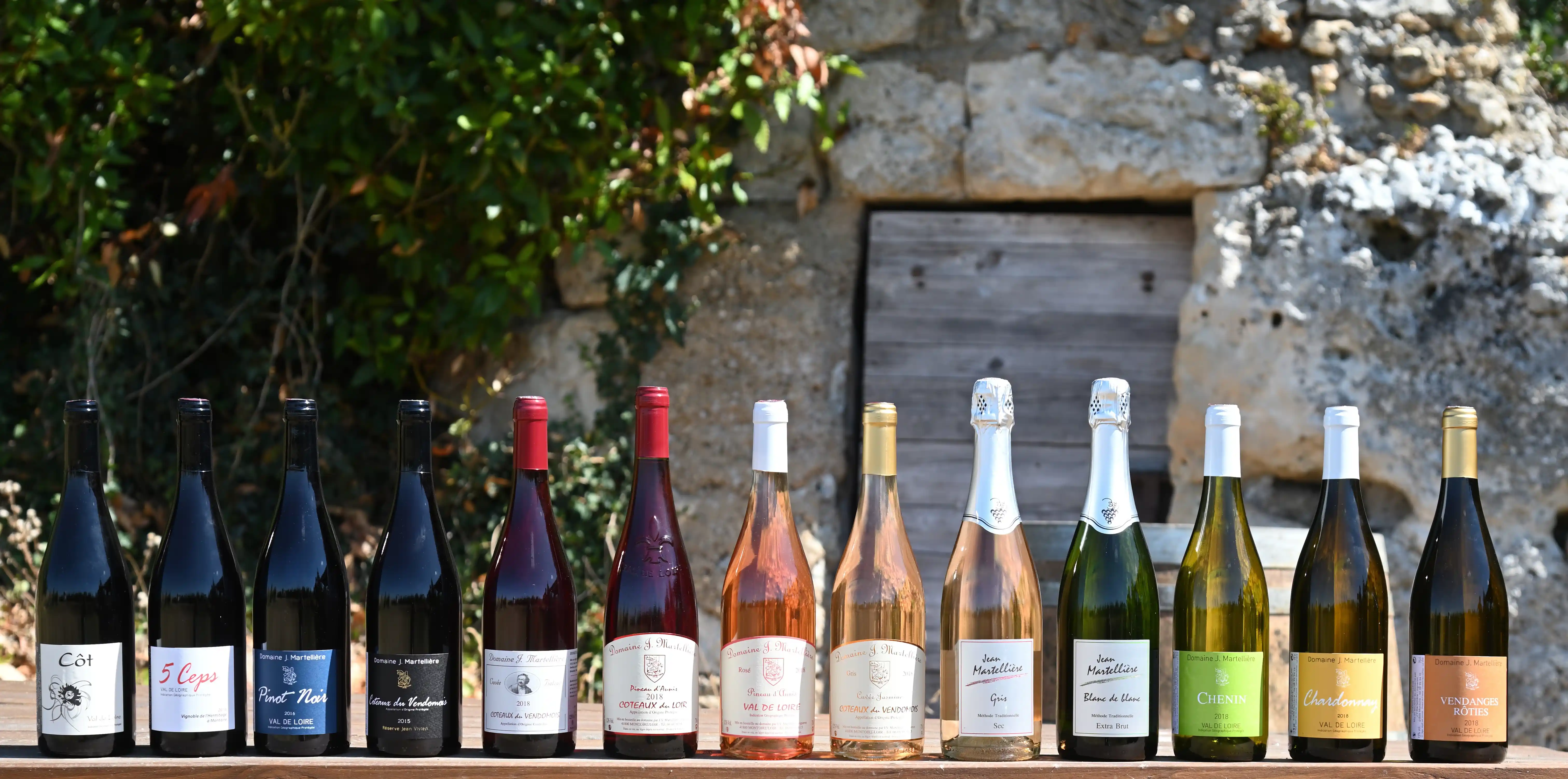 10 meilleurs vins de Loire 2026 : domaines à découvrir absolument