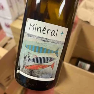 Un Saumon dans la Loire