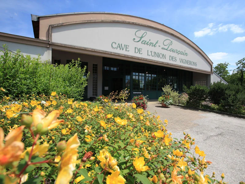 Union des vignerons de Saint-Pourçain
