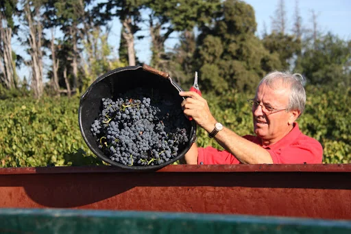 Vignoble Alain Ignace